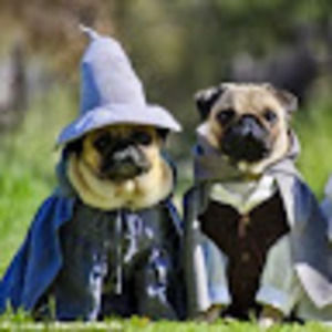 Meet your Posher, Mark